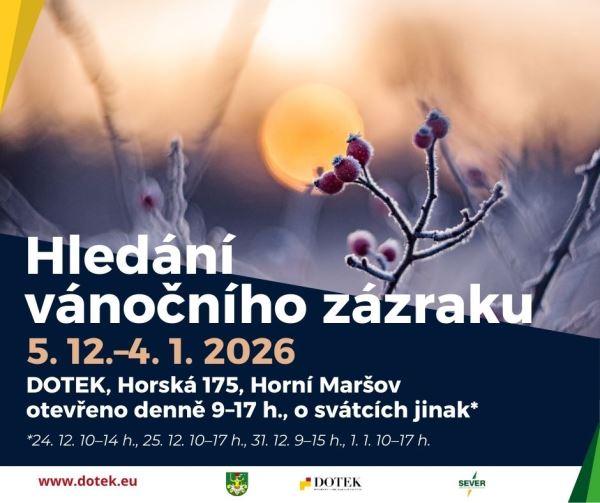 Hledání vánočního zázraku